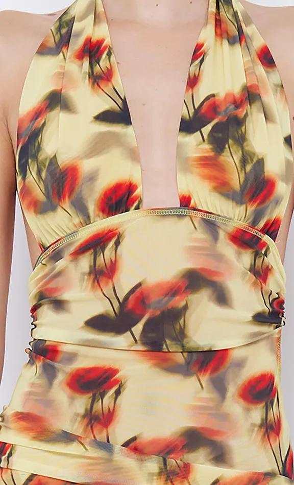 Bec Bridge Mini Dresses FIORE HALTER MINI DRESS Citrus Rose 8211 Women