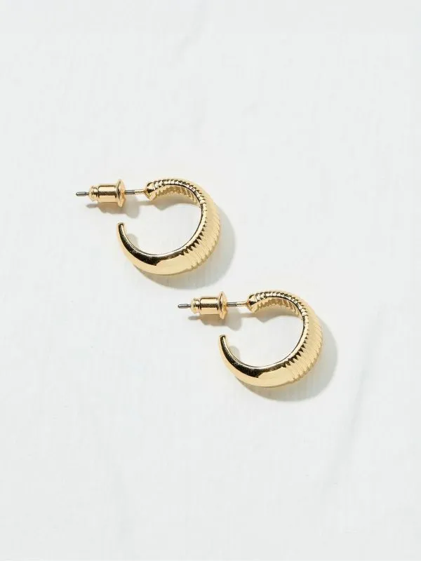 Fat Face Jewellery Women Gold Tone Textured Hoops Earrings