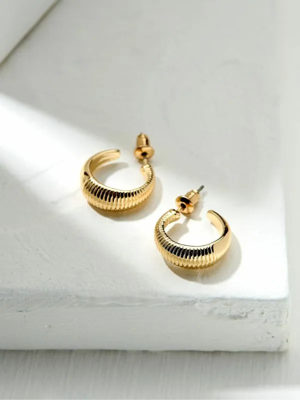 Fat Face Jewellery Women Gold Tone Textured Hoops Earrings