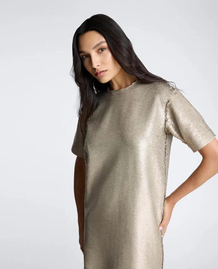 Kenneth Cole Dresses and Skirts Women Sequin TShirt Shift Dress Brown Kenneth Cole Dresses and Skirts Women Sequin TShirt Shift Dress Brown