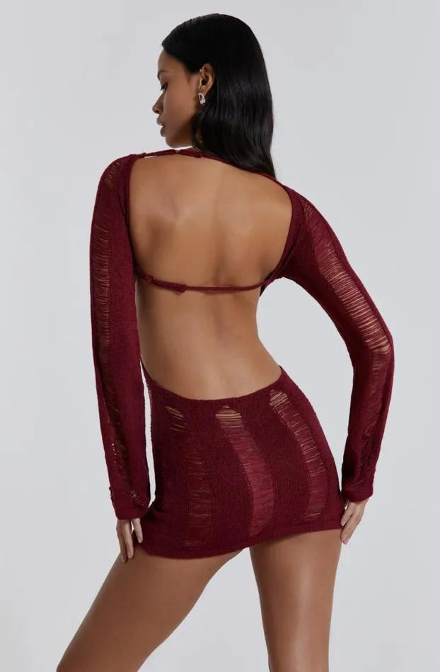 Knitwear Women Jaded London Burgundy Umbra Mini Dress