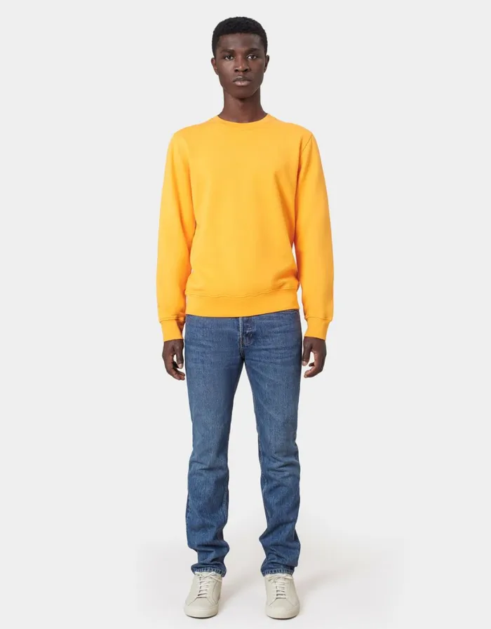 Men Classic Organic Crew Limestone Grey Colorful Standard Crewneck Sweatshirts