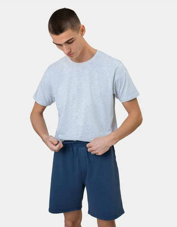Men Classic Organic Sweatshorts Polar Blue Colorful Standard Shorts