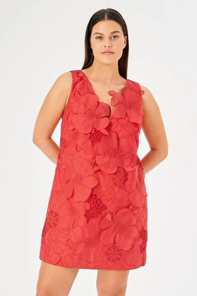 Oroton Dresses Lace Shift Dress Poppy 8211 Women