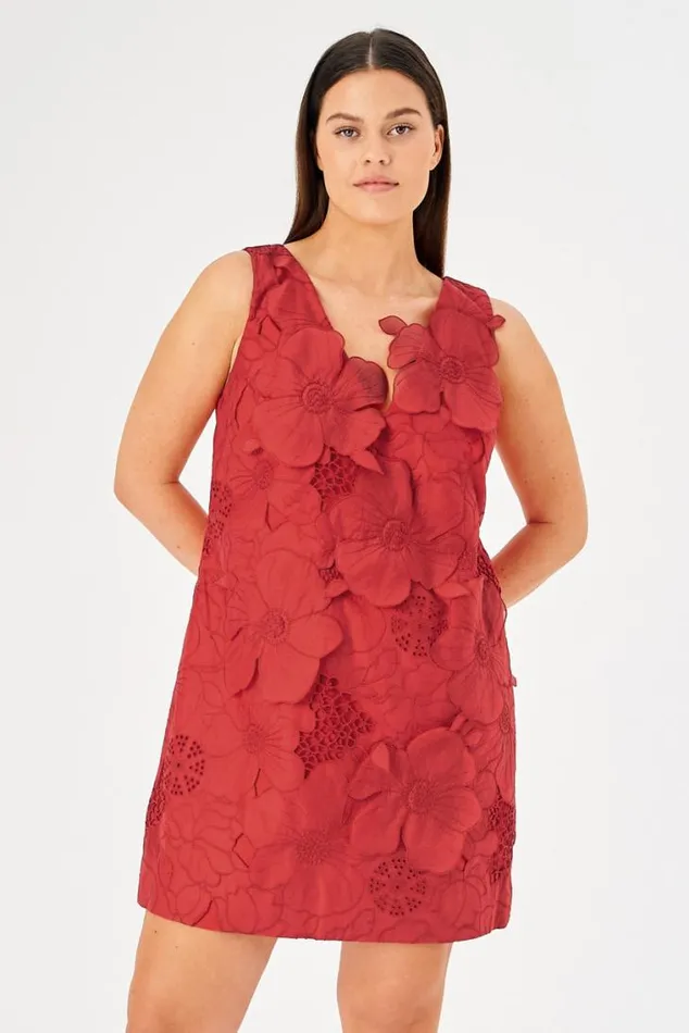 Oroton Dresses Lace Shift Dress Poppy 8211 Women