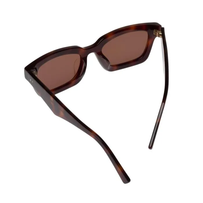 Oroton Sunglasses Sunglasses Wilder Signature Tort 8211 Accessories