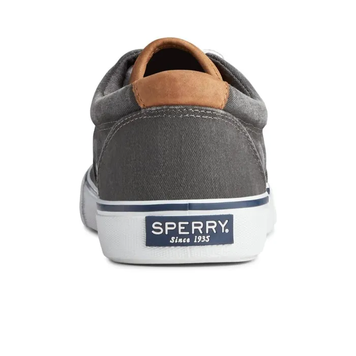 Sneakers Men Sperry Striper II CVO Sneaker Black