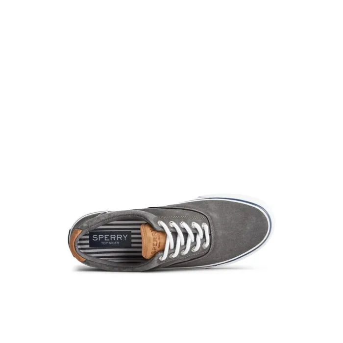 Sneakers Men Sperry Striper II CVO Sneaker Black