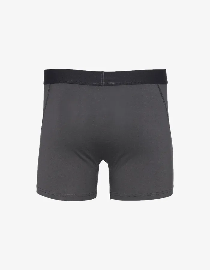 Underwear Colorfulstandard Men Classic Organic Boxer Briefs 8211 Lava Grey