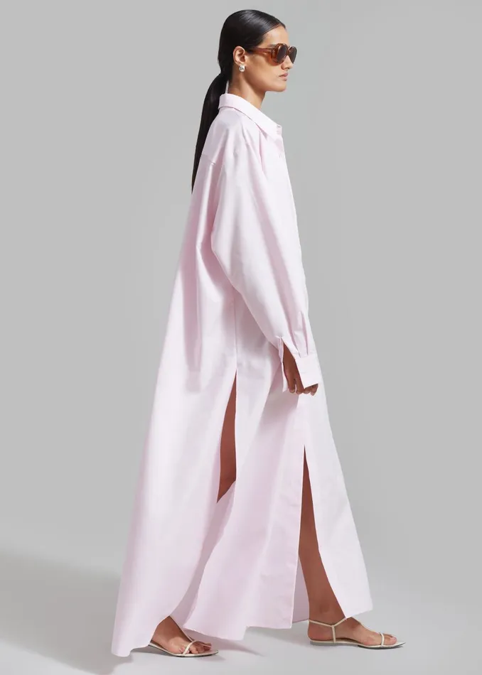 Women Avery Shirt Dress 8211 Petal The Frankie Shop Dresses