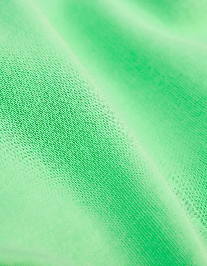 Women Classic Organic Crew 8211 Spring Green Women Crewneck Sweatshirts Colorfulstandard