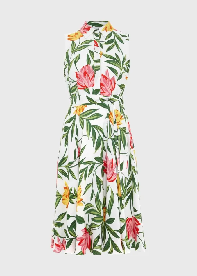 Women Dresses and Jumpsuits Hobbs Petite Belinda Dress Ivory Multi
