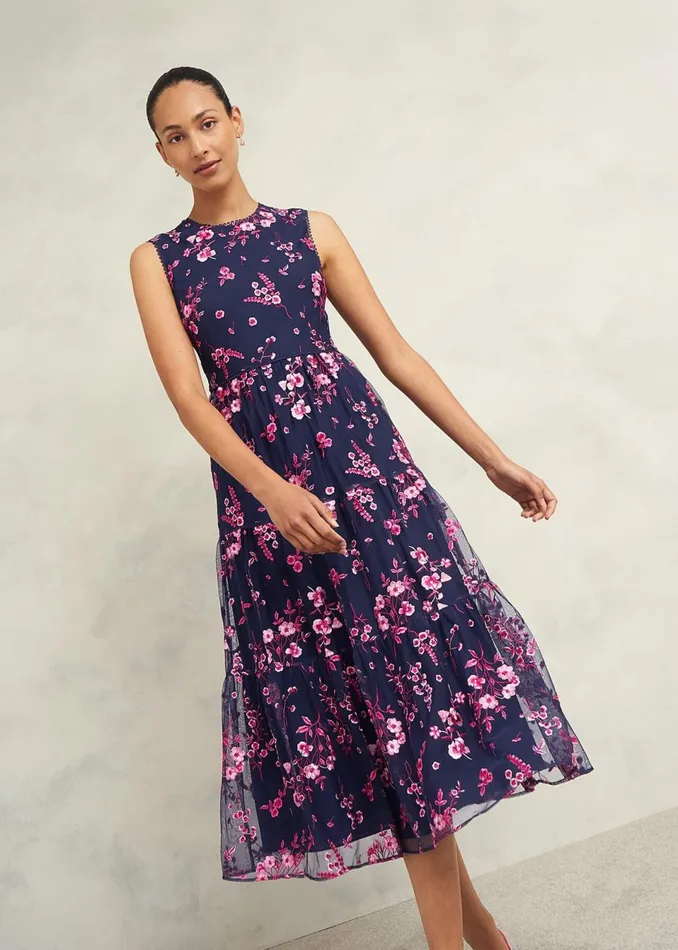 Women Dresses and Jumpsuits Hobbs Petite Bethany Embroidered Dress Navy Pink
