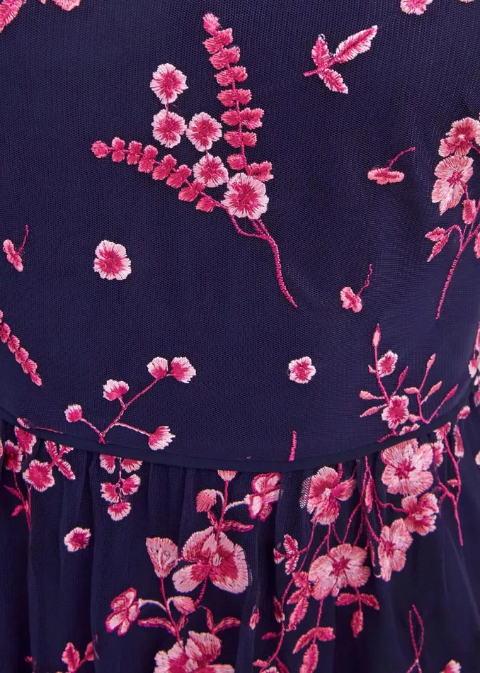 Women Dresses and Jumpsuits Hobbs Petite Bethany Embroidered Dress Navy Pink