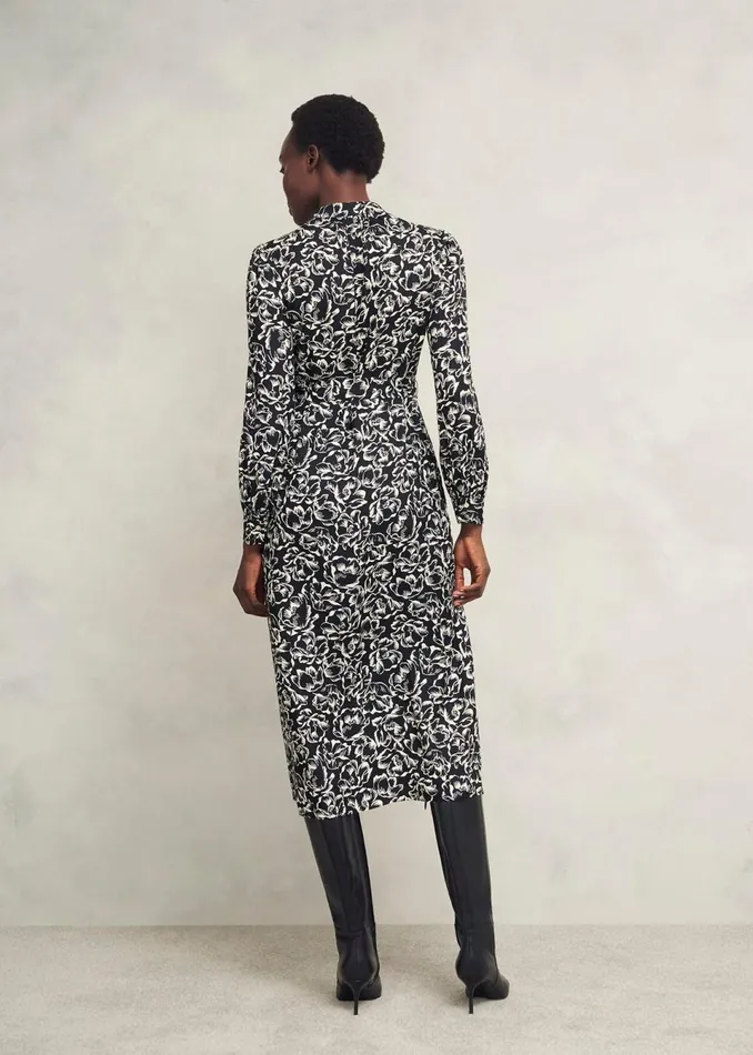 Women Dresses and Jumpsuits Hobbs Petite Cynthia Dress Black Cream