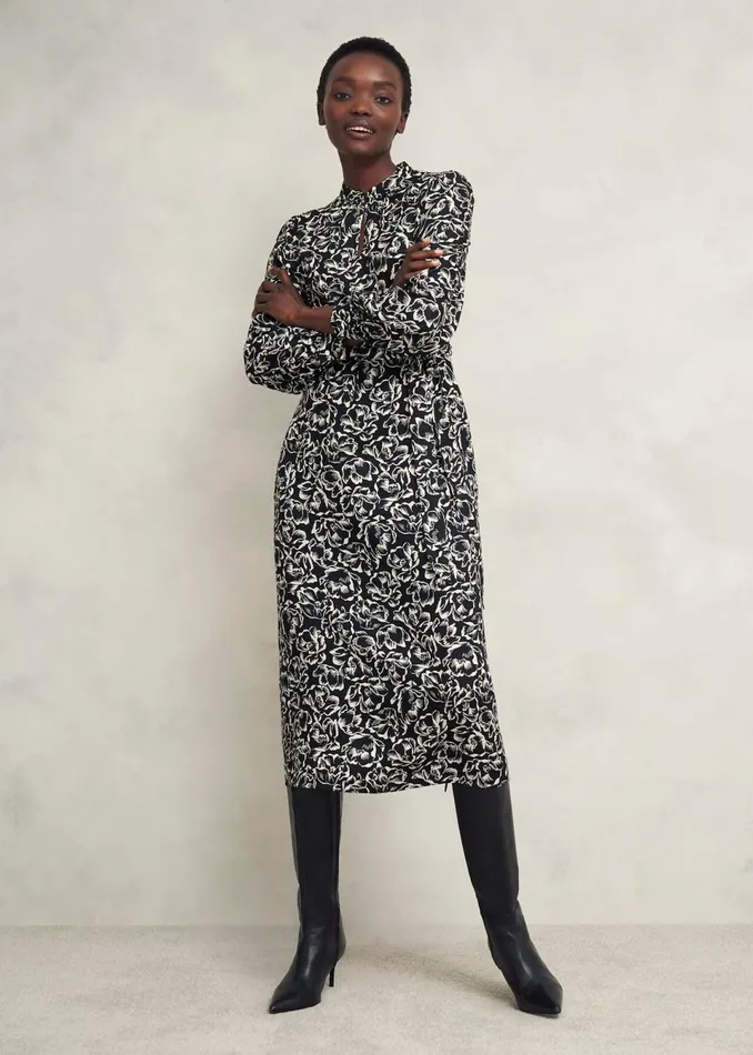 Women Dresses and Jumpsuits Hobbs Petite Cynthia Dress Black Cream