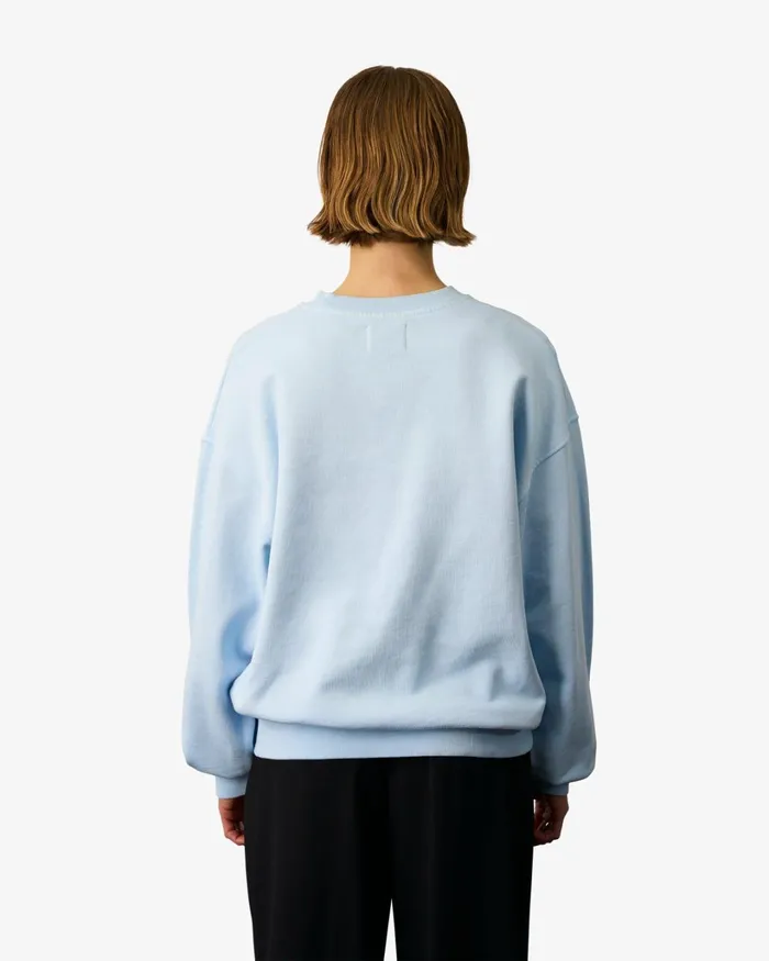 Women Organic Oversized Crew Misty Brown Colorful Standard Crewneck Sweatshirts