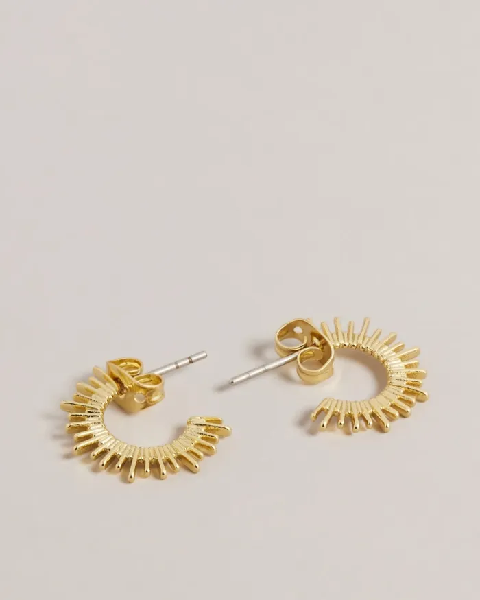 Women SUNRIEL 8211 Sunray Small Hoop Earrings Gold Colour Ted Baker Jewellery Women SUNRIEL 8211 Sunray Small Hoop Earrings Gold Colour Ted Baker Jewellery