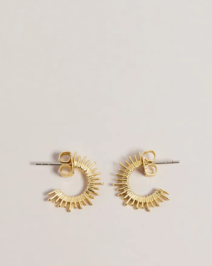 Women SUNRIEL 8211 Sunray Small Hoop Earrings Gold Colour Ted Baker Jewellery Women SUNRIEL 8211 Sunray Small Hoop Earrings Gold Colour Ted Baker Jewellery